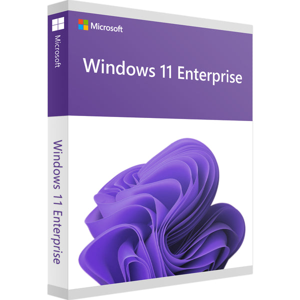 Windows 11 Entreprise
