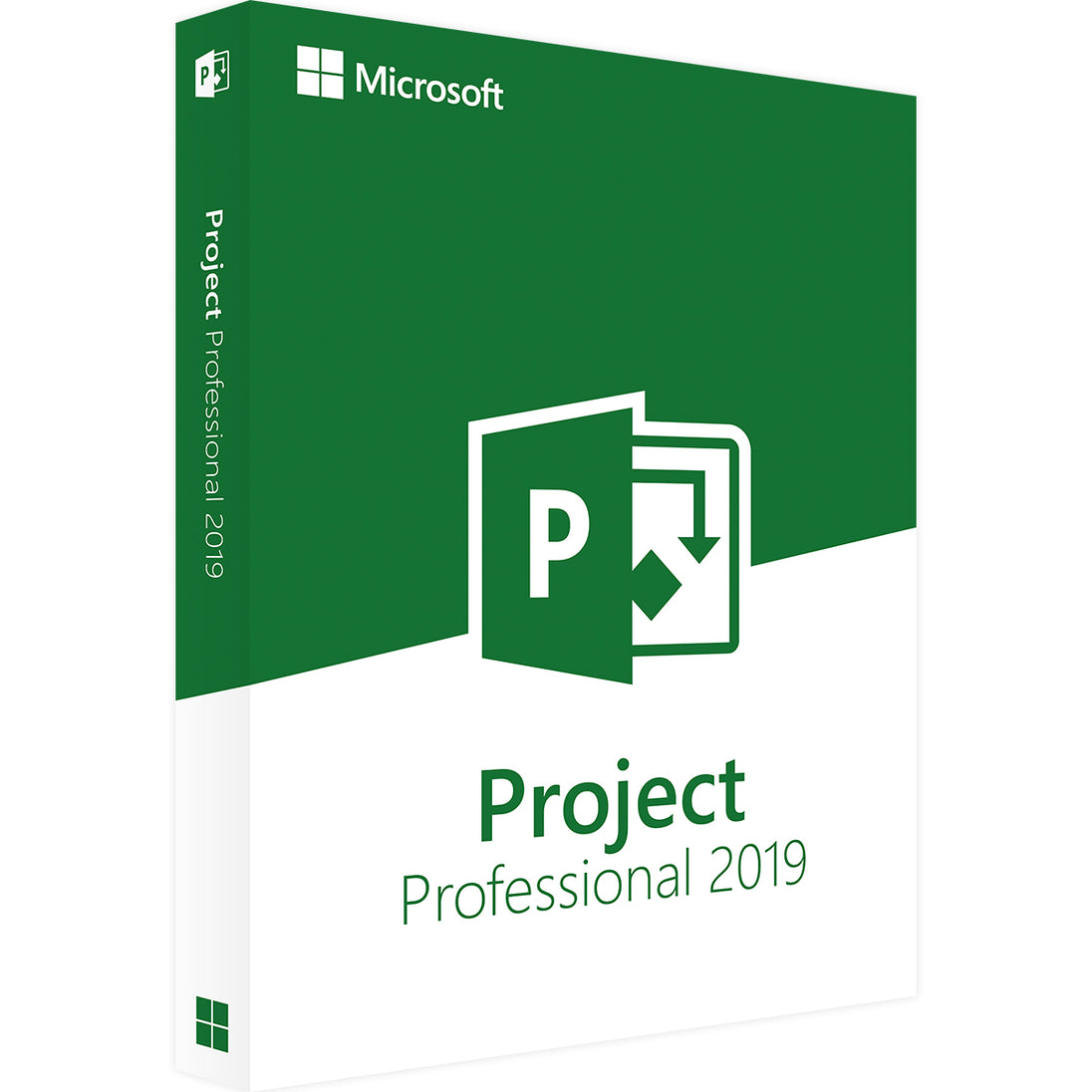 Ms Project 2019 Microsoft Project Professional 2019 - | Digital License